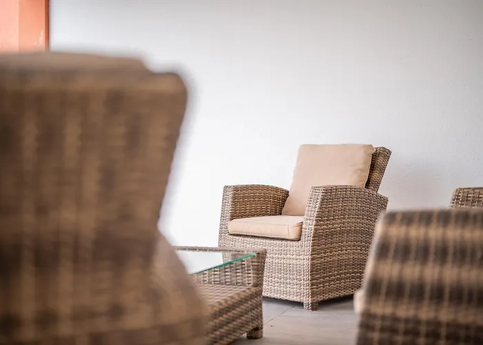 Vacuna By Amazing Madeira