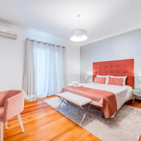 Vacuna By Amazing Madeira * Funchal (Madeira)